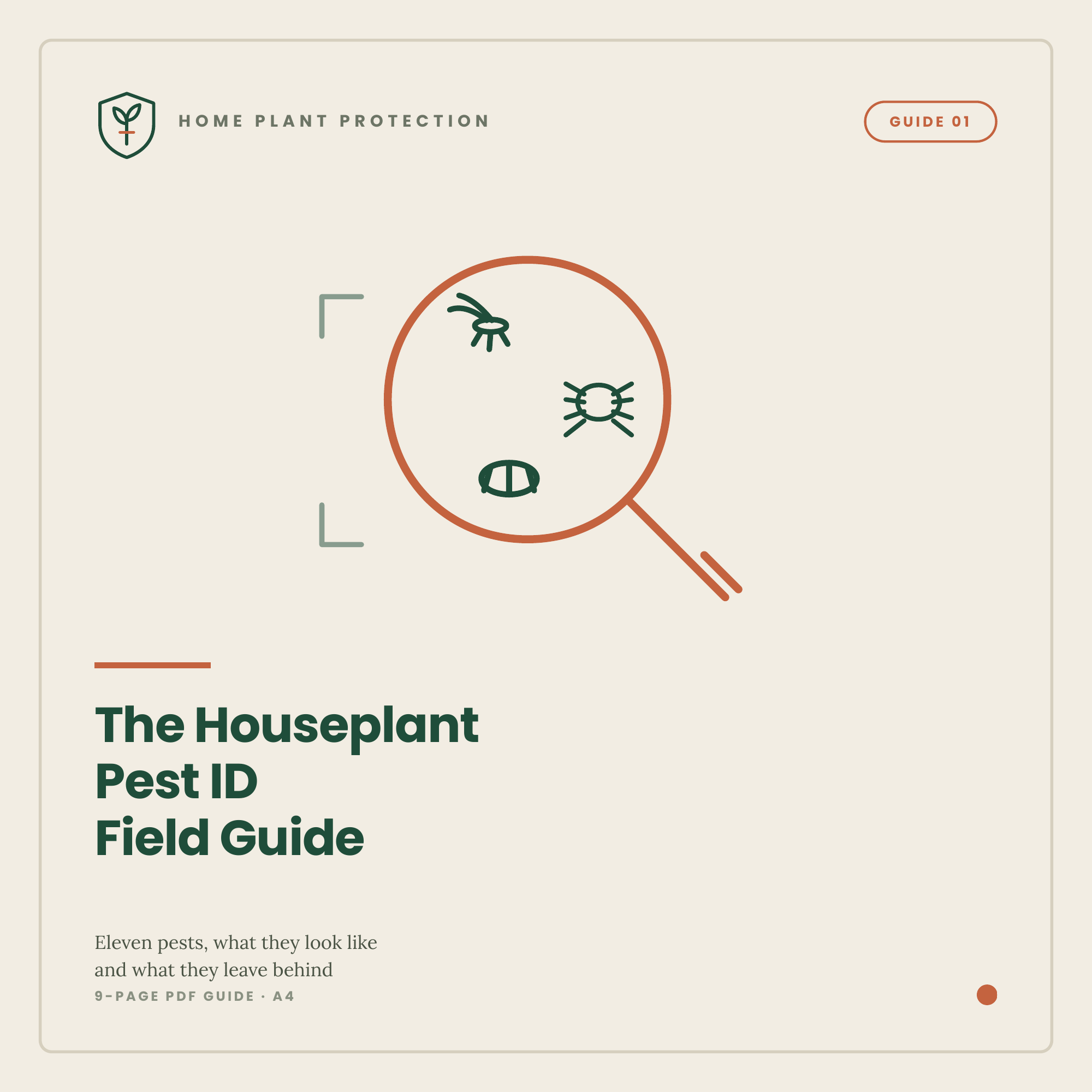 The Houseplant Pest ID Field Guide